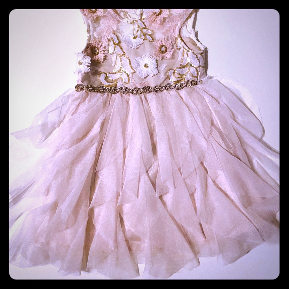 Beaded Rare Editions Dress